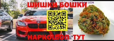 прущие крисы Гай