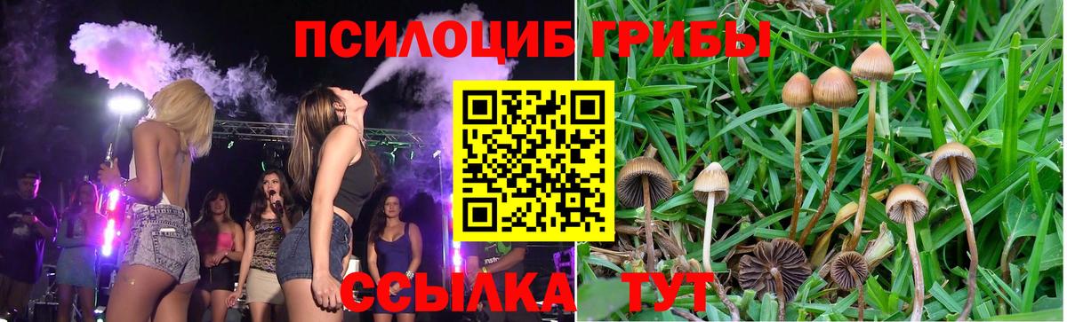 Галлюциногенные грибы Magic Shrooms Мценск