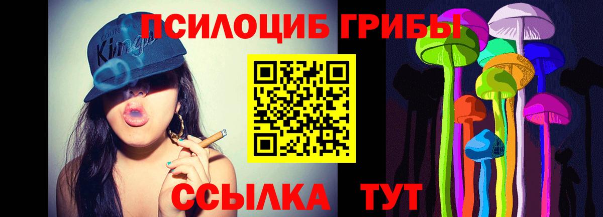 Мценск  Галлюциногенные грибы Psilocybine cubensis  Вход с VPN 